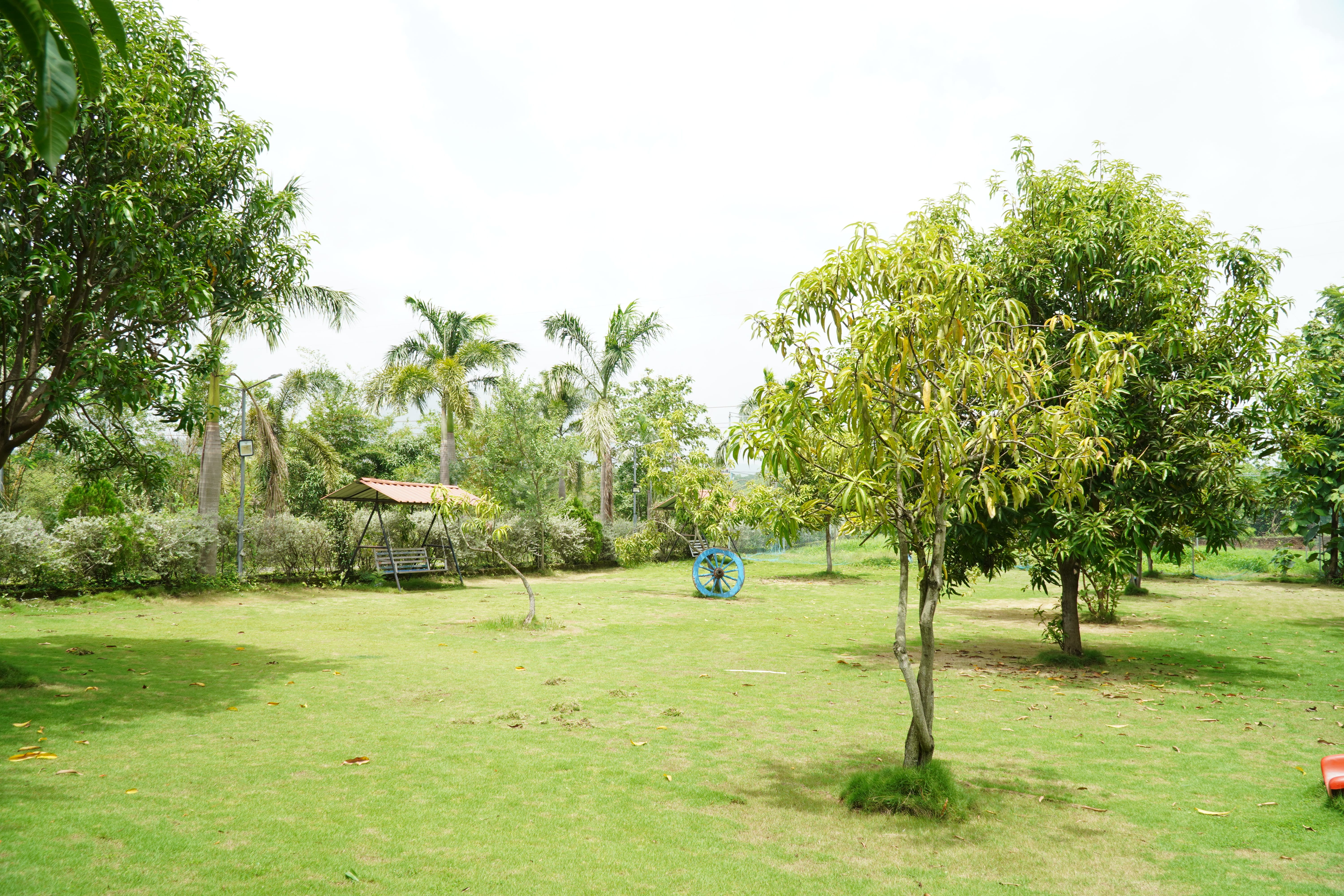 Garden Area
